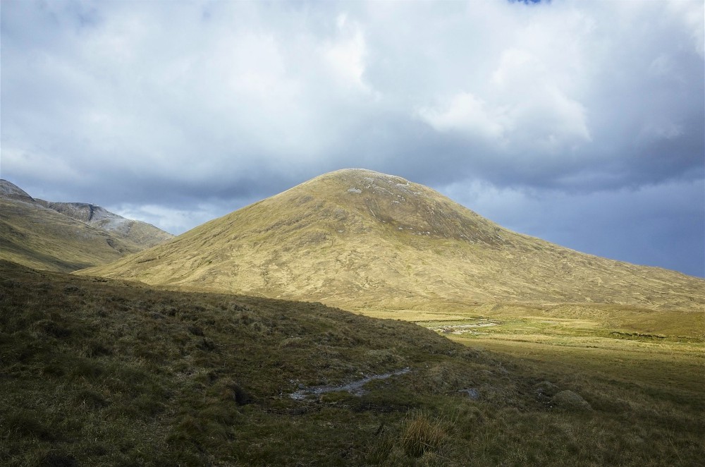 Scotland - Alder Trail